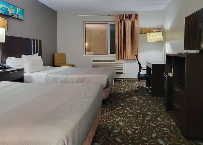 Quality & Hotel