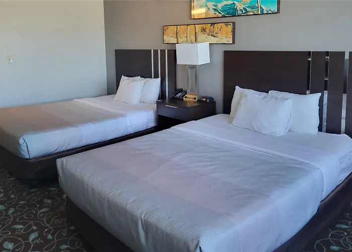 Quality & Hotel