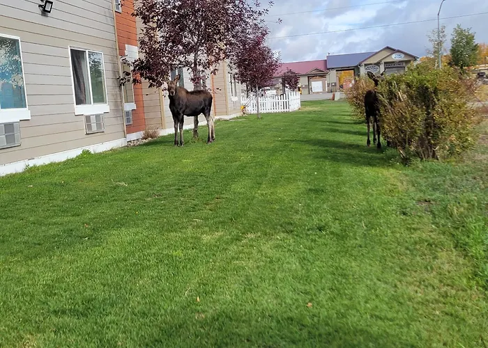 Hotel Quality & Pinedale